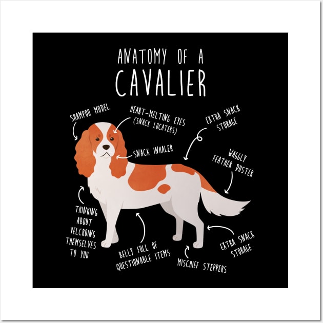 Blenheim Cavalier King Charles Spaniel Dog Anatomy Wall Art by Psitta